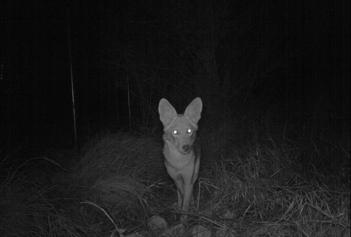 35 Stories That Sound 100% Made Up But Are Actually True