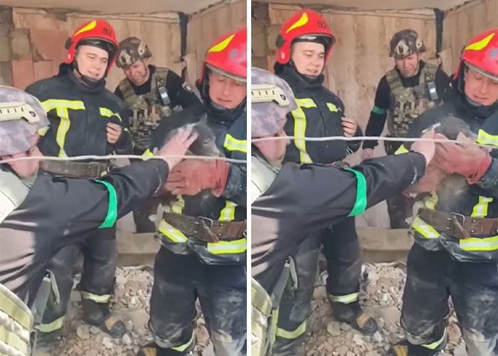 Ukrainian Policemen Pull Puppy Out Of Rubble And Return It To 77-Year-Old Owner Who&rsquo;d Lost Everything Else