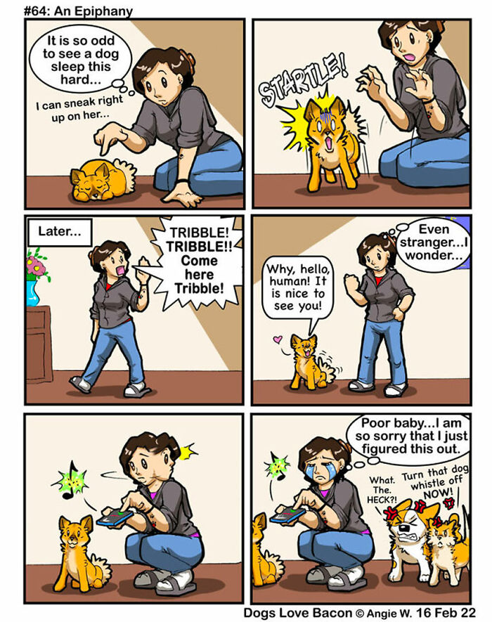 I Started A Comic About My Rescue Dogs, And Here Are Some More Comics!