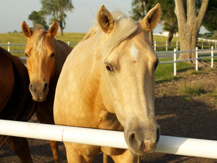 35 Things People Embody So Deeply That Their Entire Personality Revolves Around It, As Shared In This Online Group