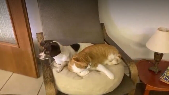 Slim Jim, And Nutmeg