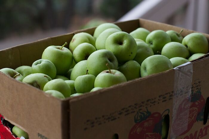 Someone In This Online Group Asked “What Was Something That Shocked You When You Visited A Foreign Country?” And 35 People Delivered