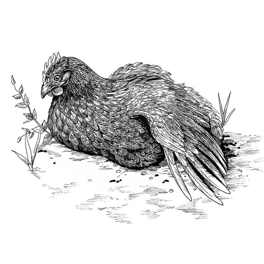 I Create Intricate Drawings Of Animals Embedded With Their Natural Habitats