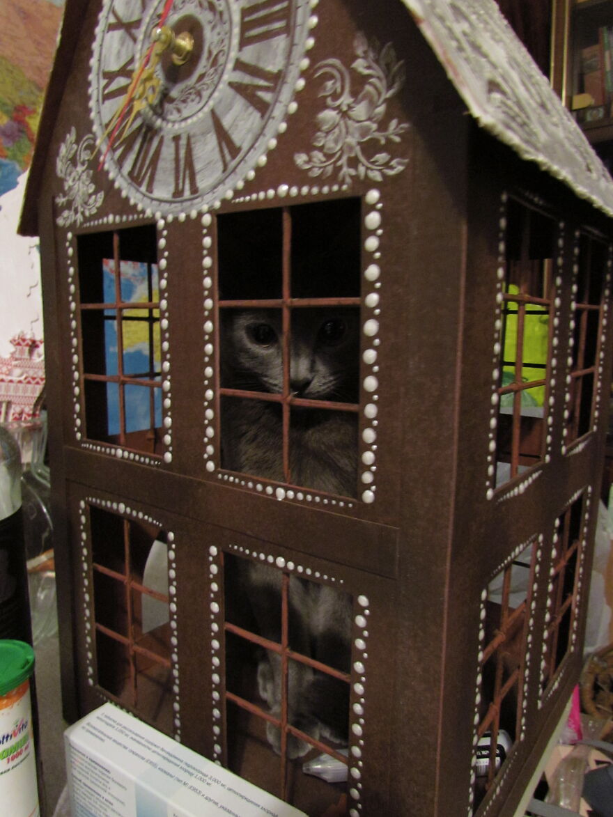 Our Fluffy Talisman: A Homeless Artist Who Is Always On The Go