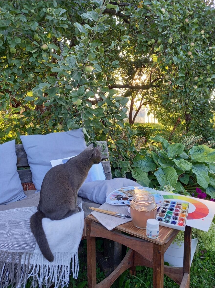 Our Fluffy Talisman: A Homeless Artist Who Is Always On The Go