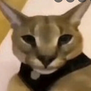 sesenscantrol avatar