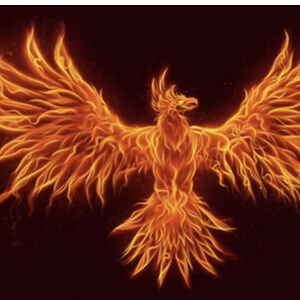 charliethomson avatar