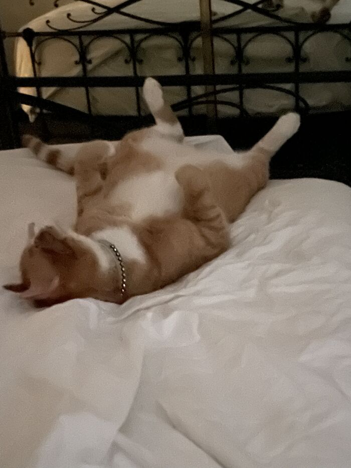 My Boy Every Single Time He Sleeps