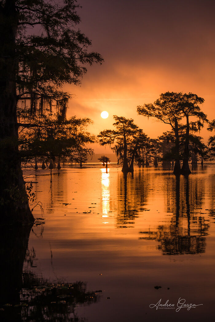 Sunrise On Caddo Lake In Uncertain, Tx
