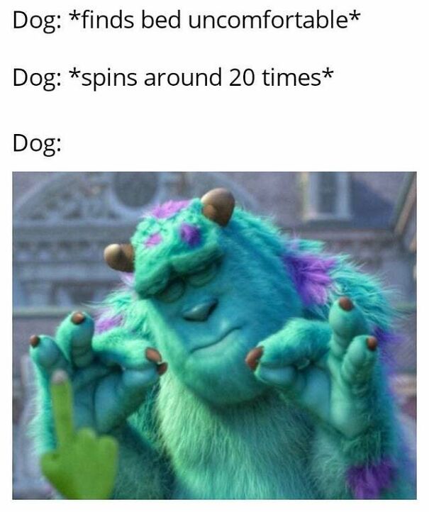 15 Of The Cutest Dog Memes