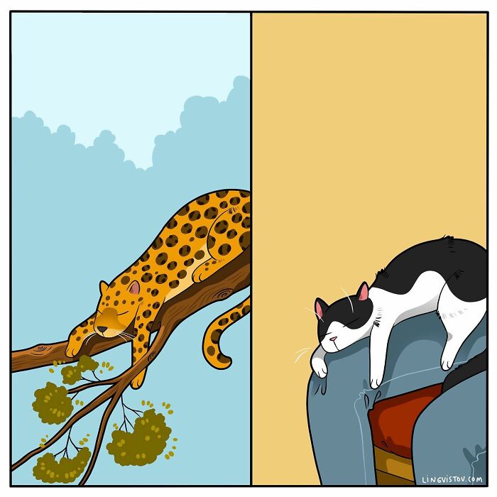 Artist Continues To Draw Comics That Show What It's Like To Live With A Cat (45 New Pics)