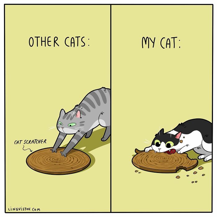Artist Continues To Draw Comics That Show What It's Like To Live With A Cat (45 New Pics)