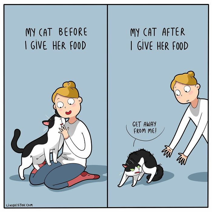 Artist Continues To Draw Comics That Show What It's Like To Live With A Cat (45 New Pics)