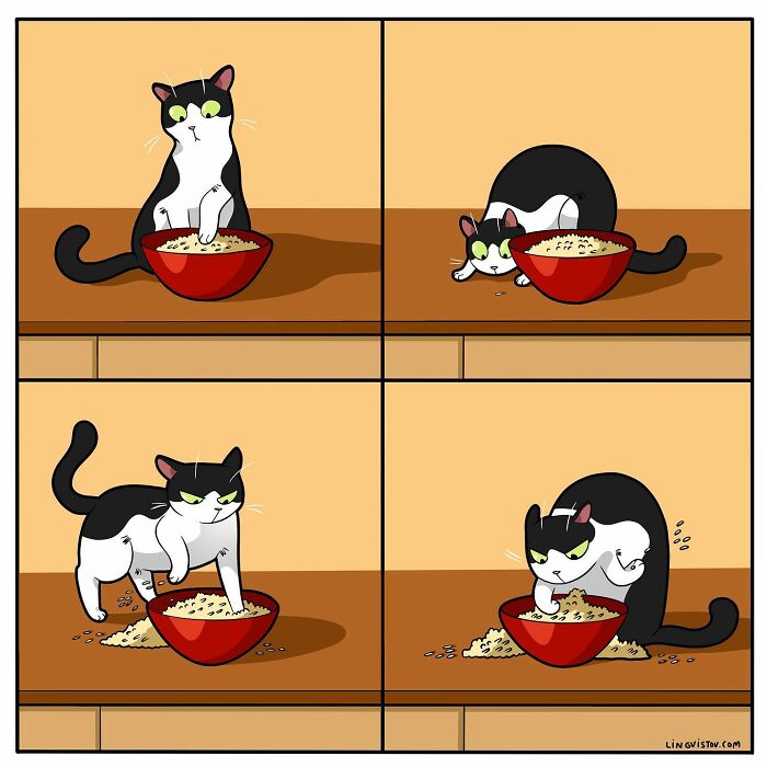 Artist Continues To Draw Comics That Show What It's Like To Live With A Cat (45 New Pics)
