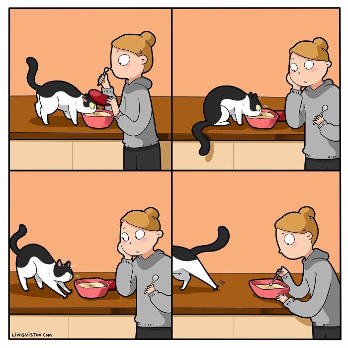 Artist Continues To Draw Comics That Show What It's Like To Live With A Cat (45 New Pics)