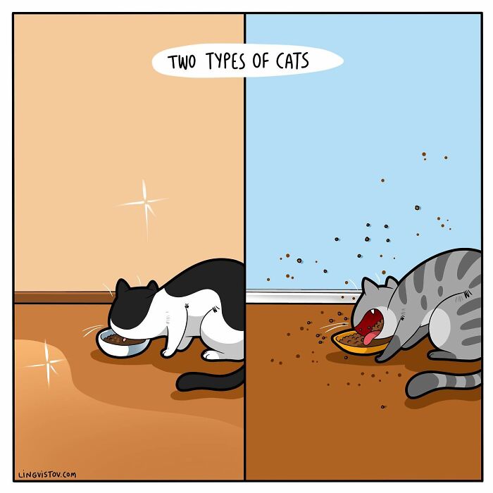 Artist Continues To Draw Comics That Show What It's Like To Live With A Cat (45 New Pics)