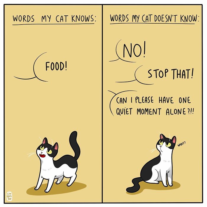 Artist Continues To Draw Comics That Show What It's Like To Live With A Cat (45 New Pics)