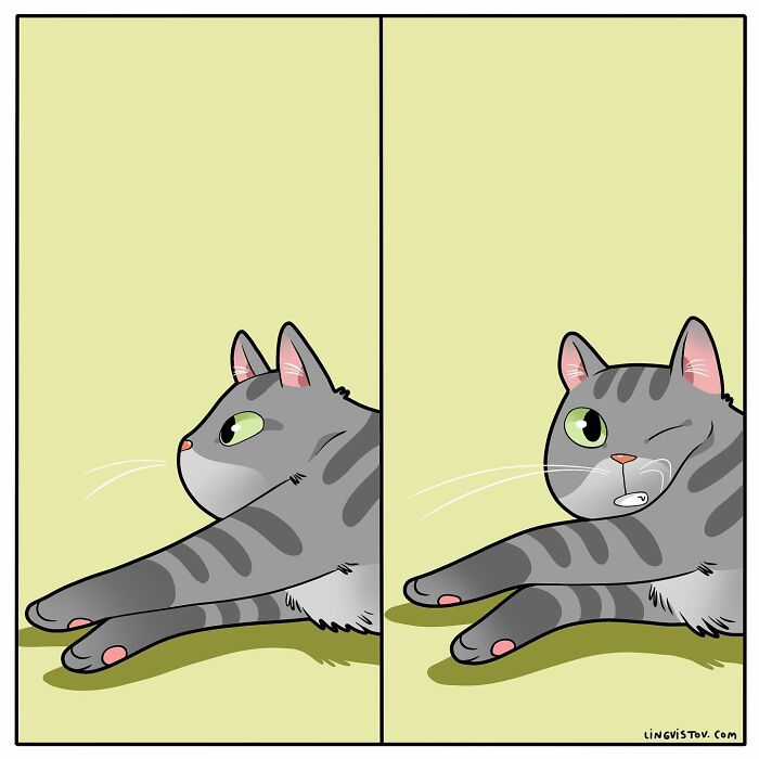 Artist Continues To Draw Comics That Show What It's Like To Live With A Cat (45 New Pics)