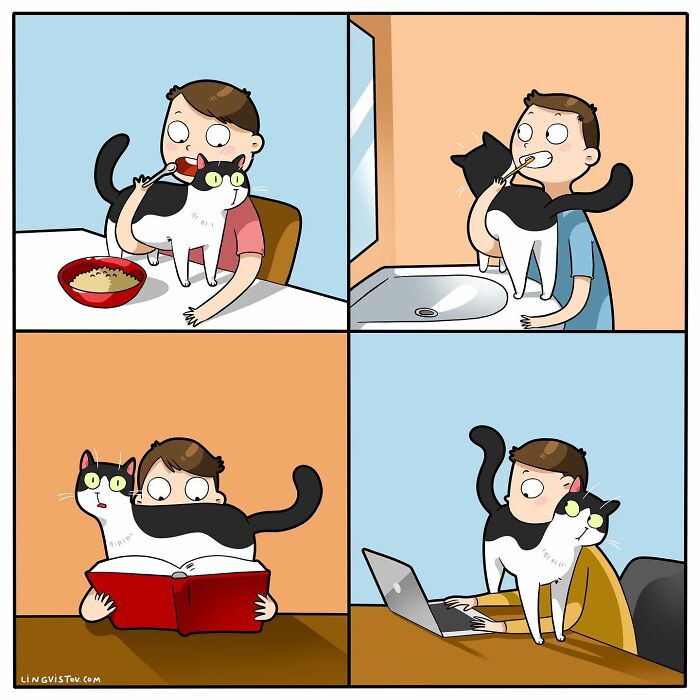 Artist Continues To Draw Comics That Show What It's Like To Live With A Cat (45 New Pics)