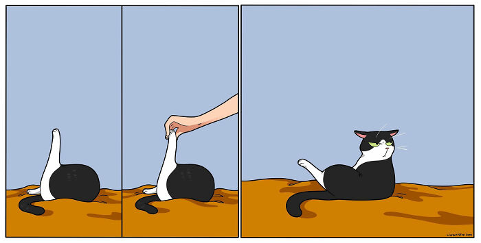 Artist Continues To Draw Comics That Show What It's Like To Live With A Cat (45 New Pics)