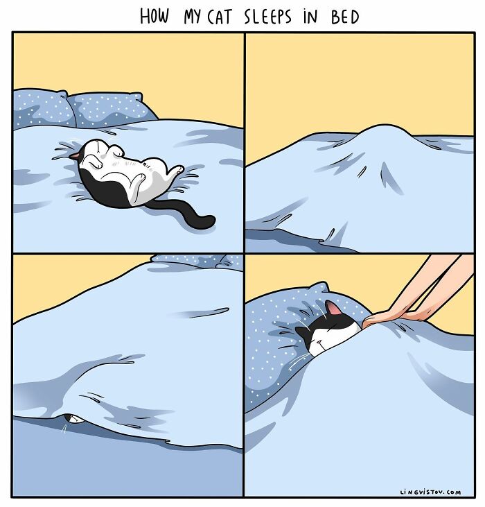 Artist Continues To Draw Comics That Show What It's Like To Live With A Cat (45 New Pics)