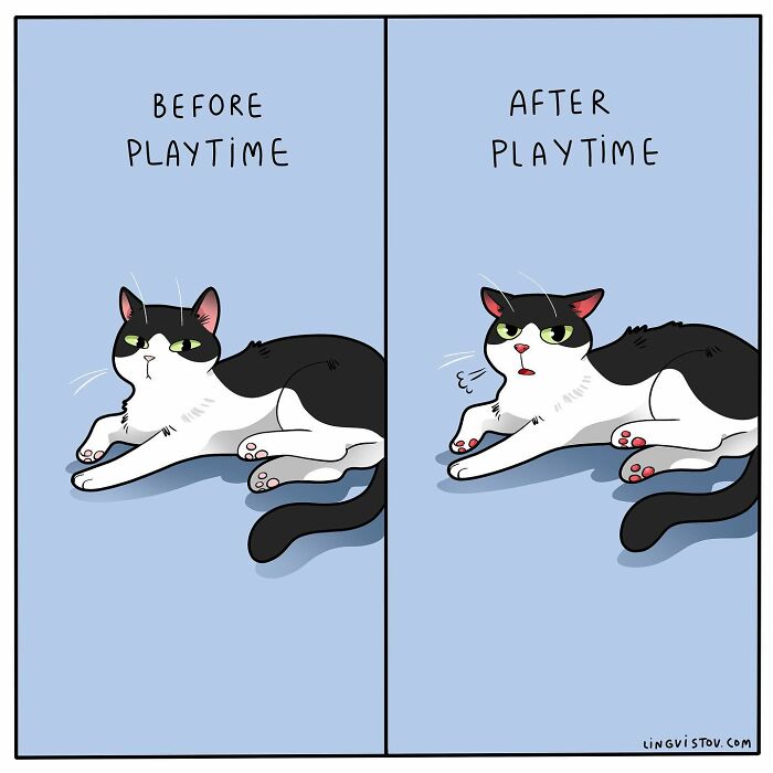 Artist Continues To Draw Comics That Show What It's Like To Live With A Cat (45 New Pics)