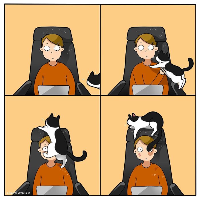Artist Continues To Draw Comics That Show What It's Like To Live With A Cat (45 New Pics)