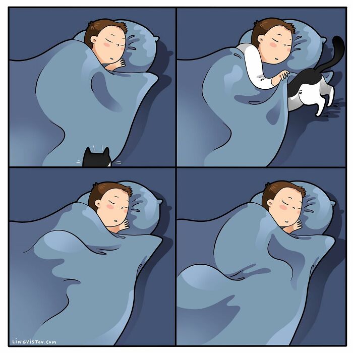 Artist Continues To Draw Comics That Show What It's Like To Live With A Cat (45 New Pics)