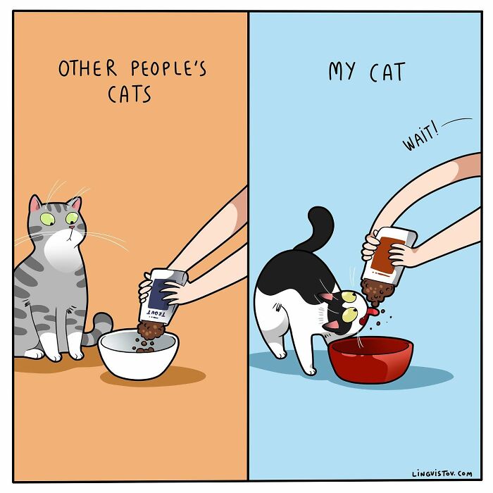 Artist Continues To Draw Comics That Show What It's Like To Live With A Cat (45 New Pics)