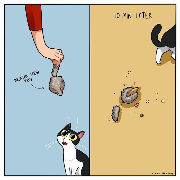 Artist Continues To Draw Comics That Show What It's Like To Live With A Cat (45 New Pics)