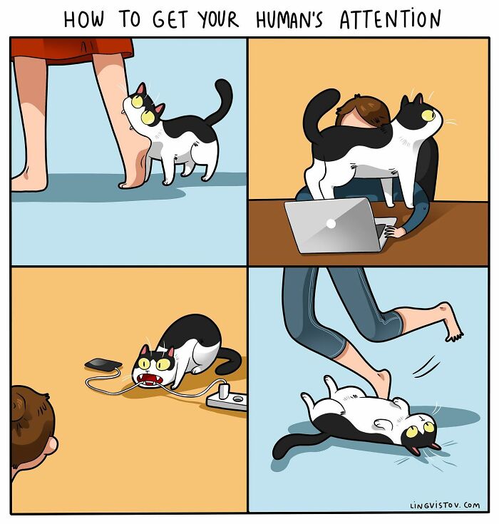 Artist Continues To Draw Comics That Show What It's Like To Live With A Cat (45 New Pics)