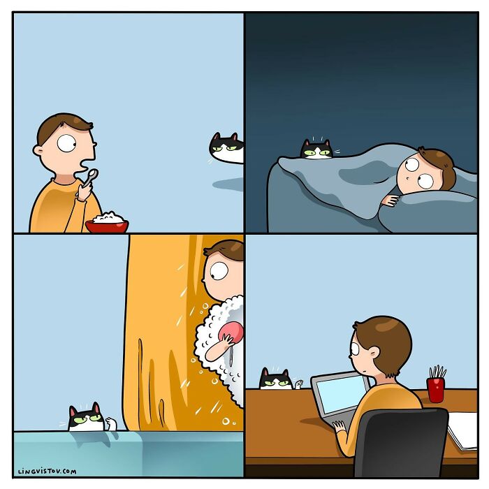 Artist Continues To Draw Comics That Show What It's Like To Live With A Cat (45 New Pics)