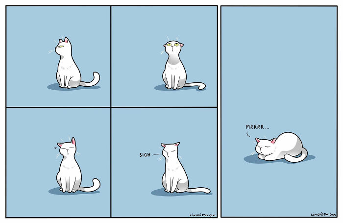 Artist Continues To Draw Comics That Show What It's Like To Live With A Cat (45 New Pics)