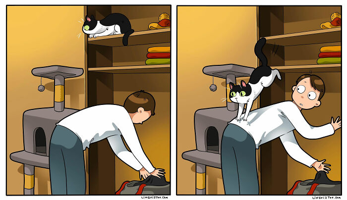 Artist Continues To Draw Comics That Show What It's Like To Live With A Cat (45 New Pics)