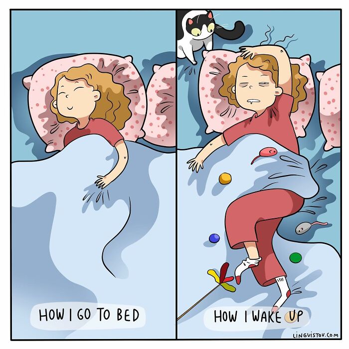 Artist Continues To Draw Comics That Show What It's Like To Live With A Cat (45 New Pics)