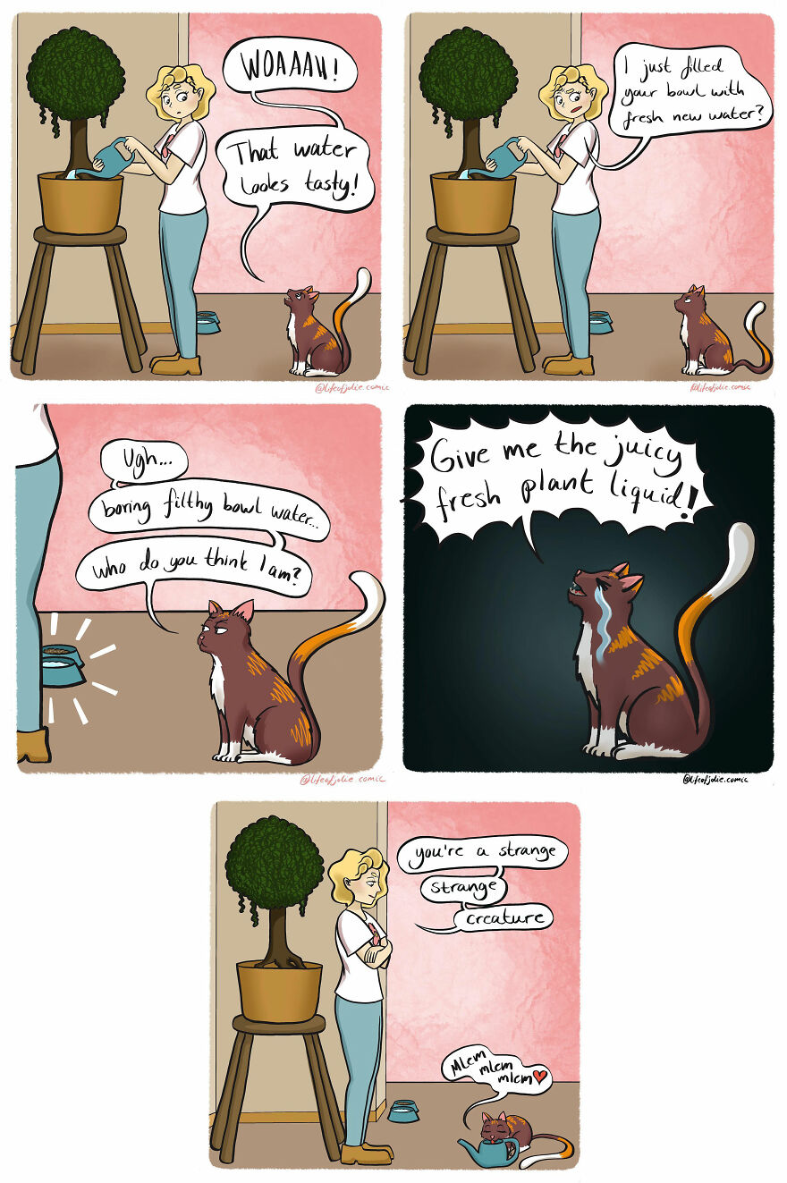 Artist Continues To Illustrate Hilarious Comics About Everyday Life (New Pics)