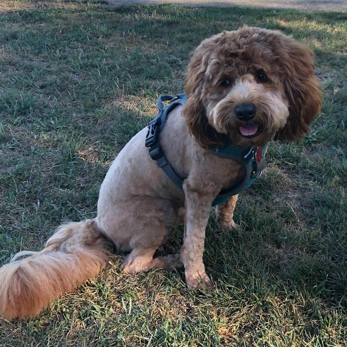 "I Feel Naked After A Very Bad Haircut"