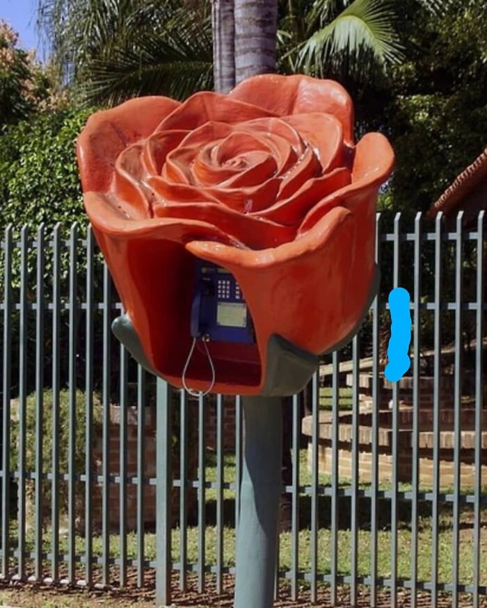 You Used To Call Me 🌹