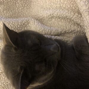 jenniferross_1 avatar