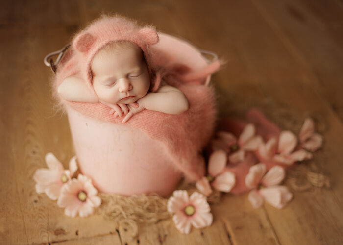 I Love Taking Photos Of Newborn Babies And Their Dogs (10 Pics)