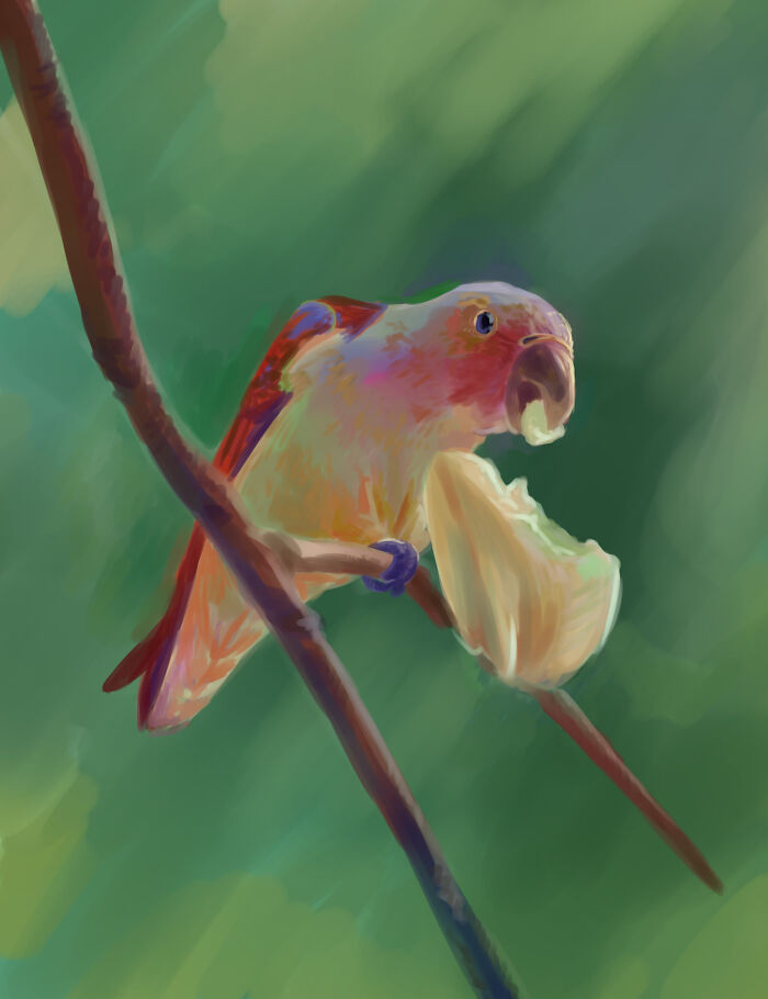 Color Study! Reference Linked