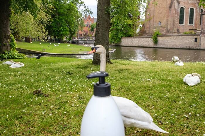 Belgian Photographer Captures Unusual Scenes Of Everyday Life