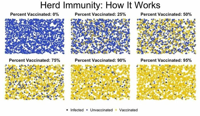 How Herd Immunity Works