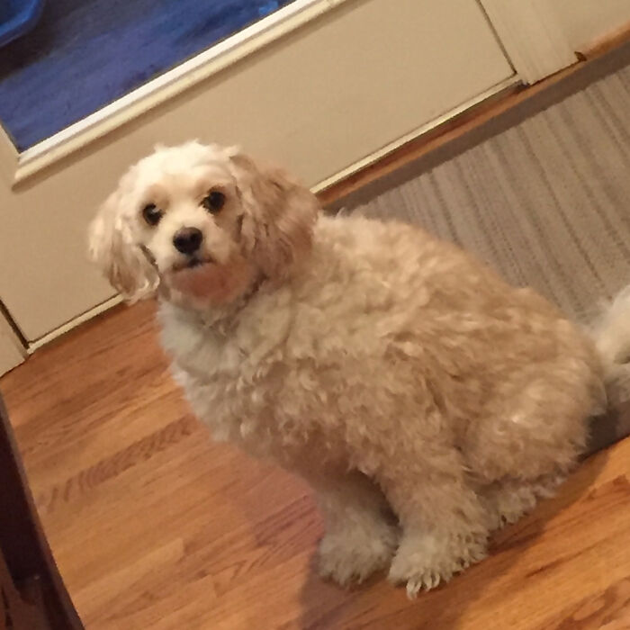 Sure Am Concerned About His New Haircut