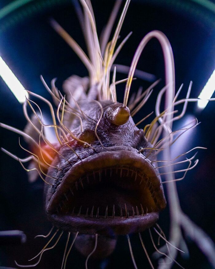 Monday Morning Before A Coffee