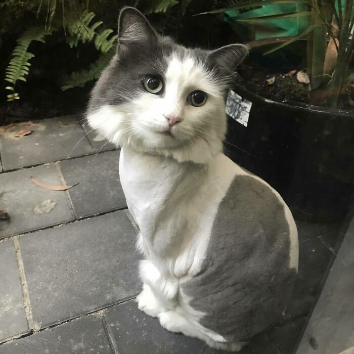 And Just Like That My Life Is Made