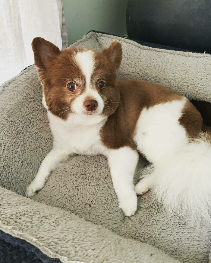 No, I Didn’t Get Stung By A Bee. This Is The Result Of My New Haircut. Not Impressed. Can We Still Be Friends?