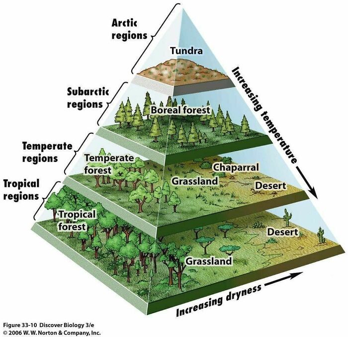 Different Biomes At Varying Temperatures And Levels Of Humidity
