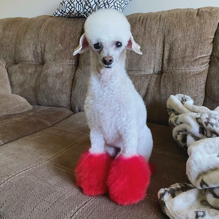 El daño ya está hecho