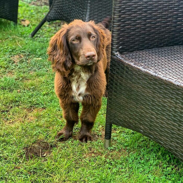 "Dad Said It Looks Like I’m Wearing Socks"